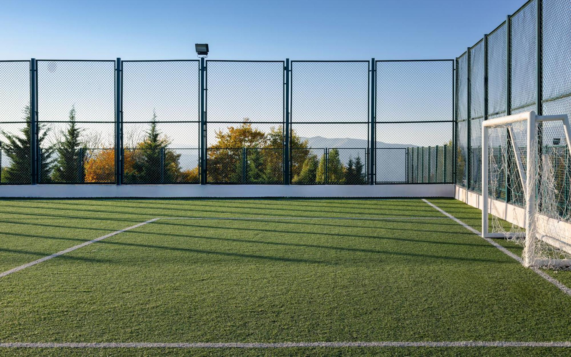Shamakhi Palace Sharadil Seredil Exterior photo The artificial grass pitch at the University of Novi Sad